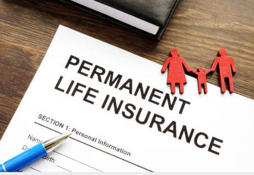 Group Permanent Life Insurance Photo